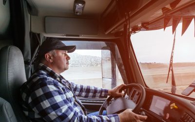 Defying the Odds: How Small Trucking Companies Secure a Significant Market Share in the Industry
